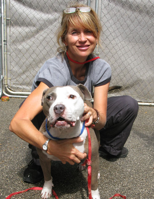 Our Pack, Inc. Rescue Pit Bull Advocates for Compassion & Kindness